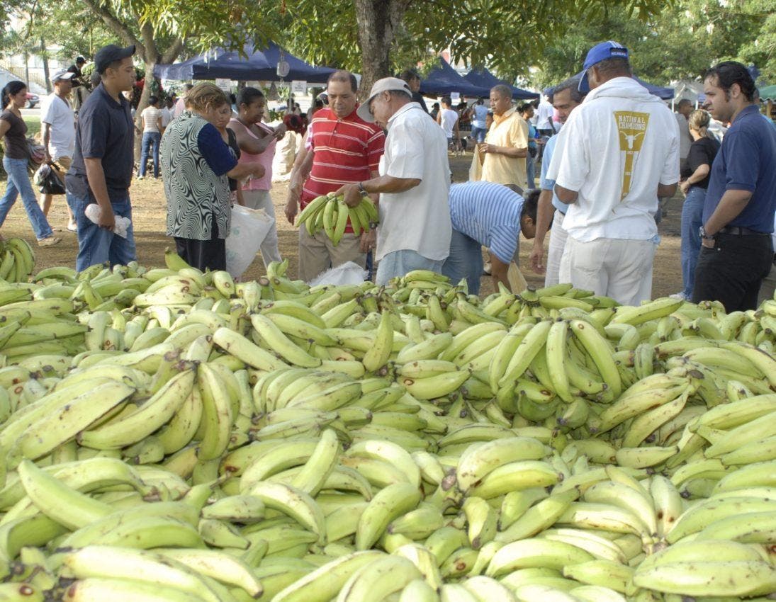 Denuncian que plátanos están a 3 por 100 pesos — El Nacional