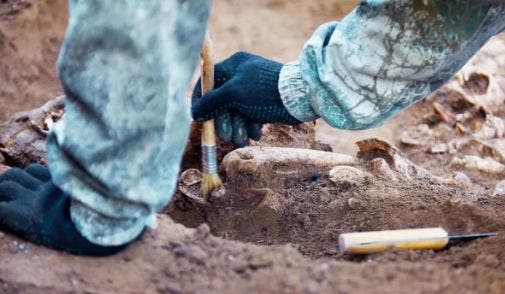Extraen ADN de un esqueleto humano de hace 6,000 años en China — El Nacional