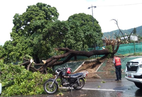 Fuerte lluvia y vientos huracanados causaron estragos en Caracas
