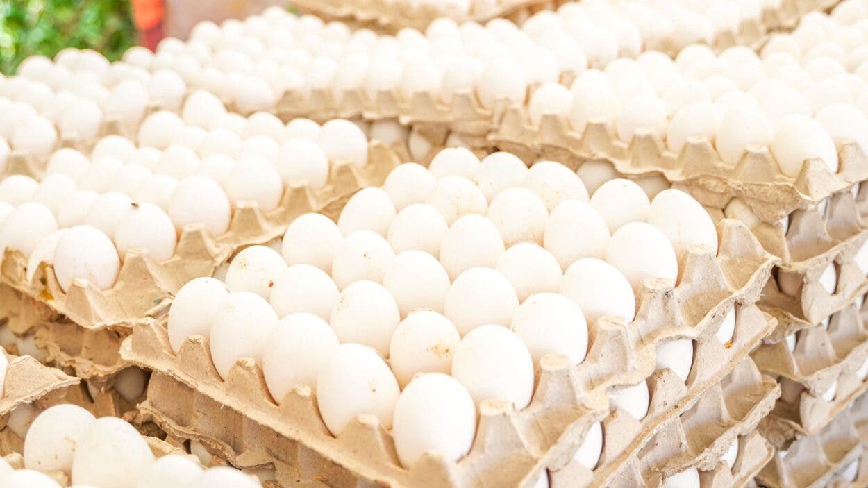 Venderán cartones de huevos a RD$100 este jueves en 76 supermercados — El Nacional