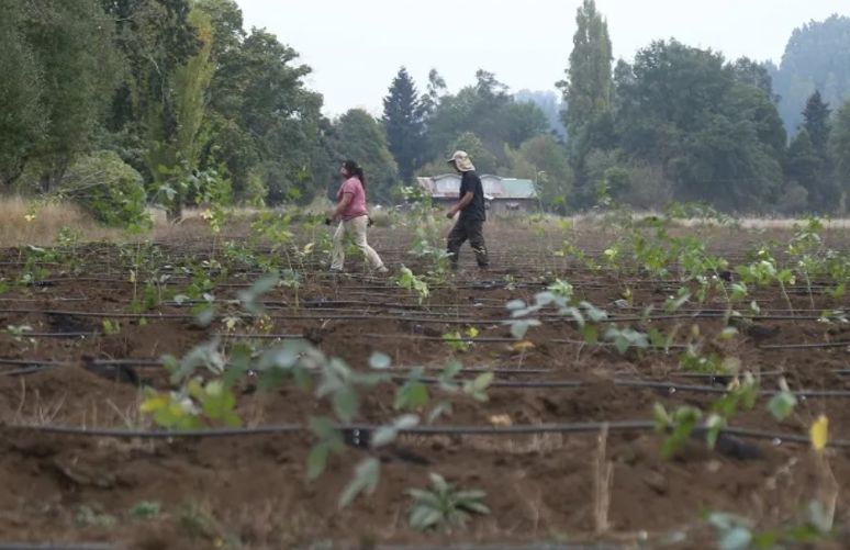 Agricultures de Los Potocos denunciaron atropellos por parte de funcionarios de seguridad