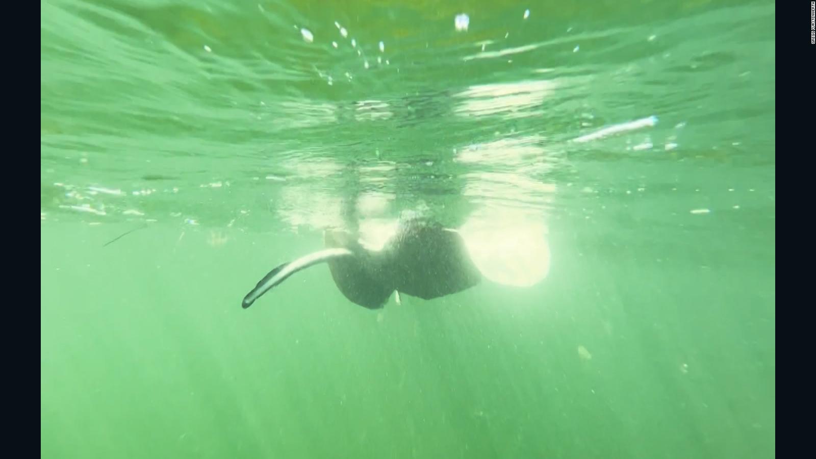 Buzo experimentado detecta un fenómeno aterrador en el agua