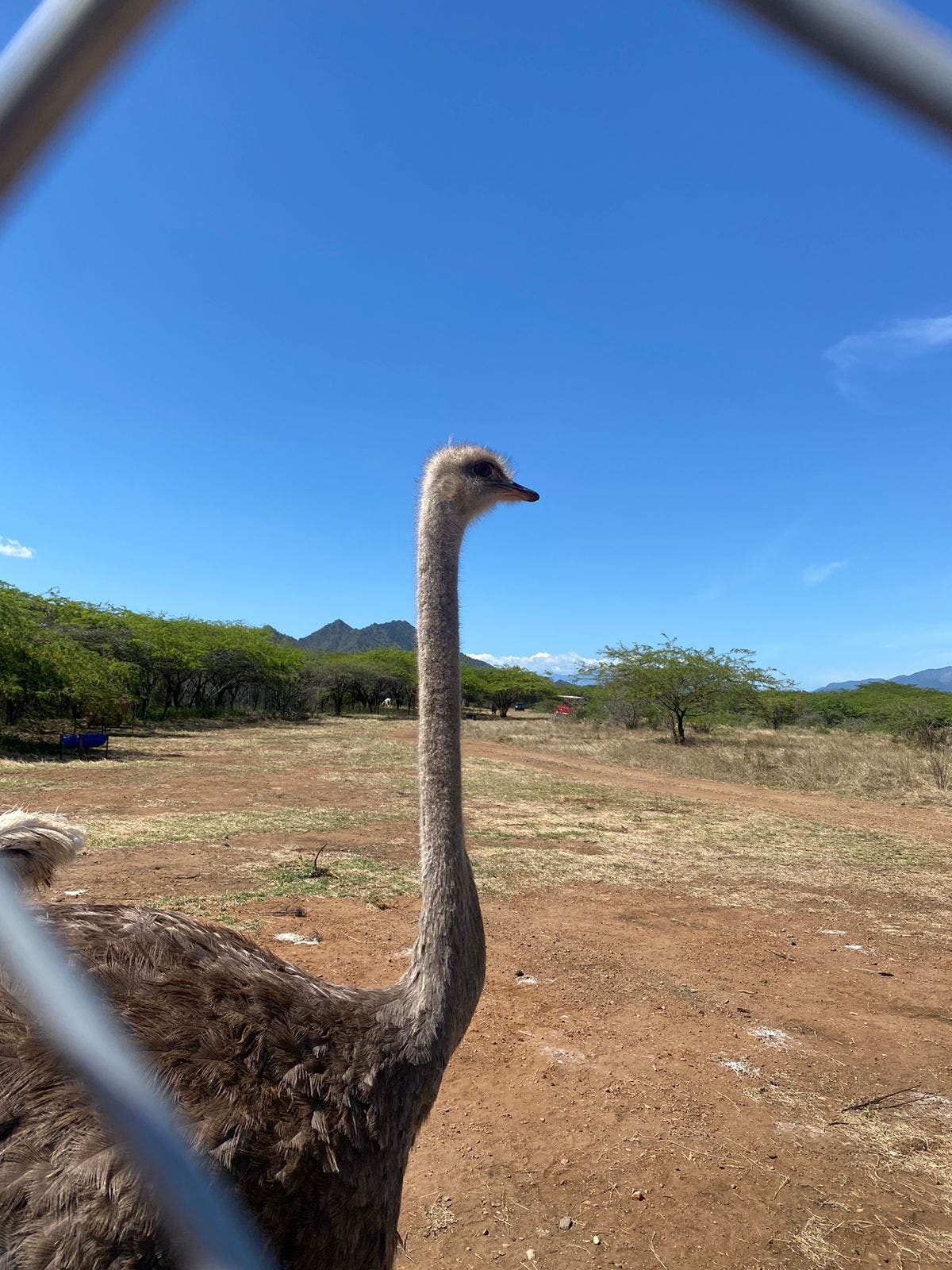 Un Safari Tropical en Baní, una opción diferente para turismo interno 3 06 1