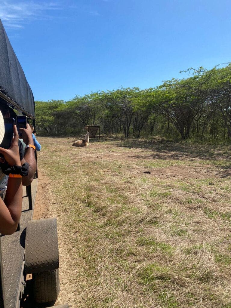 Un Safari Tropical en Baní, una opción diferente para turismo interno 5 i 2