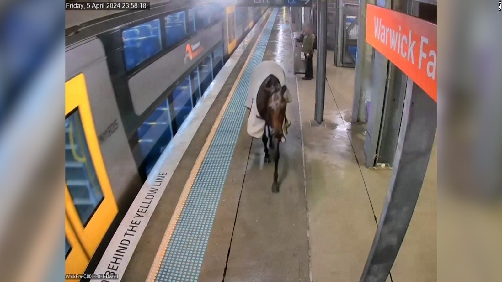 Cámaras de seguridad captan a caballo en estación de tren | Video