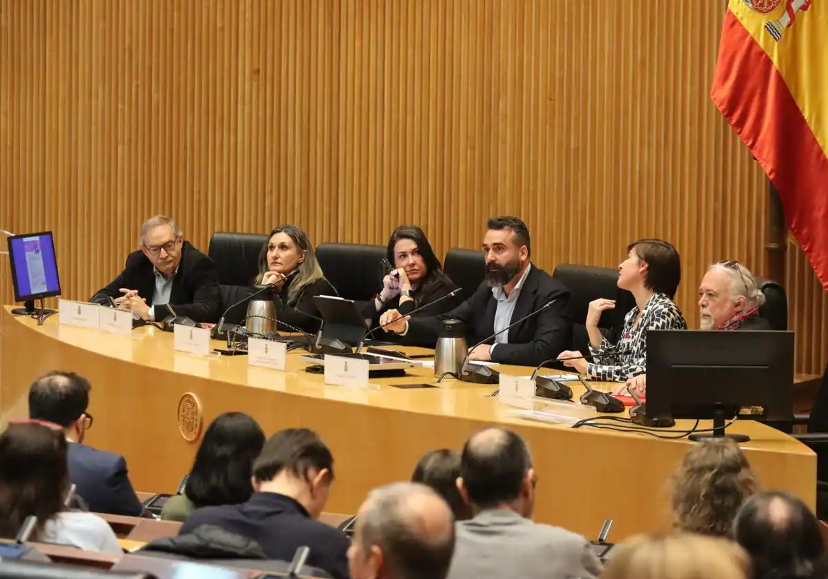 Jornada sobre la inteligencia artificial organizada en el Congreso