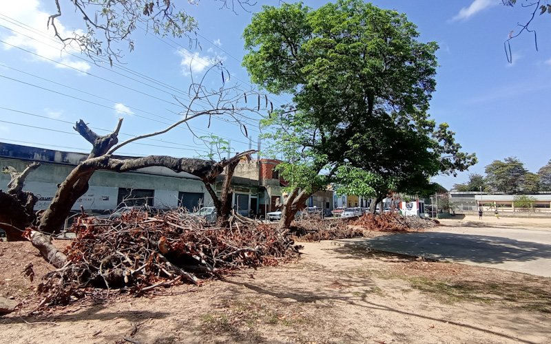 Piden recoger ramas y basura acumulada en cancha de liceo en Carúpano