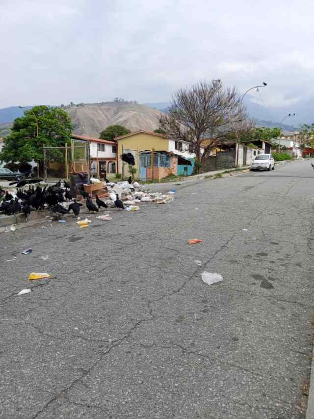 Comunidades de Ejido en Mérida y su odisea para sobrevivir ante frecuentes fallas en servicios públicos