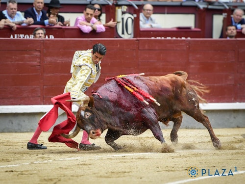 San Isidro, en directo: Toros de hoy en Madrid y última hora de Calita, Francisco de Manuel y Álvaro Alarcón