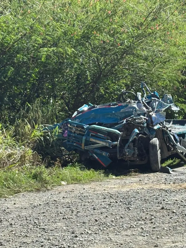Las víctimas del accidente fueron identificados como Axel Joel Cuevas Chofer y Kensi Manuel García Rodríguez quienes iban en un camión Daihatsu, azul.
