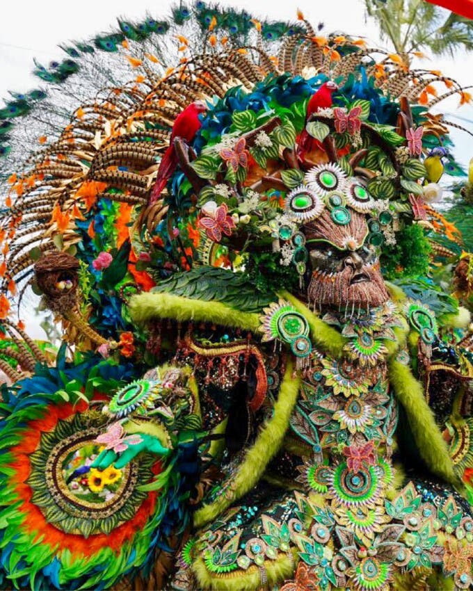 ¿Quiénes se llevaron los premios del Desfile Nacional de Carnaval 2025?